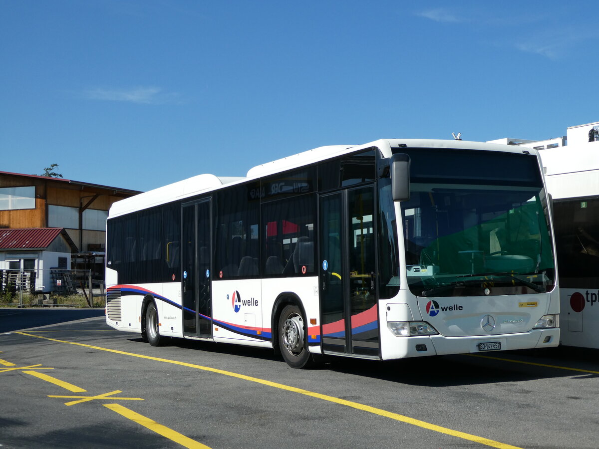 (238'573) - Steiner, Messen - SO 142'657 - Mercedes (ex Kuhn, Merenschwand; ex K�ng, Beinwil) am 30. Juli 2022 in Kerzers, Interbus