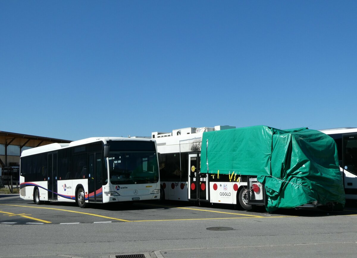 (238'754) - Steiner, Messen - SO 142'657 - Mercedes (ex Kuhn, Merenschwand; ex K�ng, Beinwil) am 1. August 2022 in Kerzers, Interbus