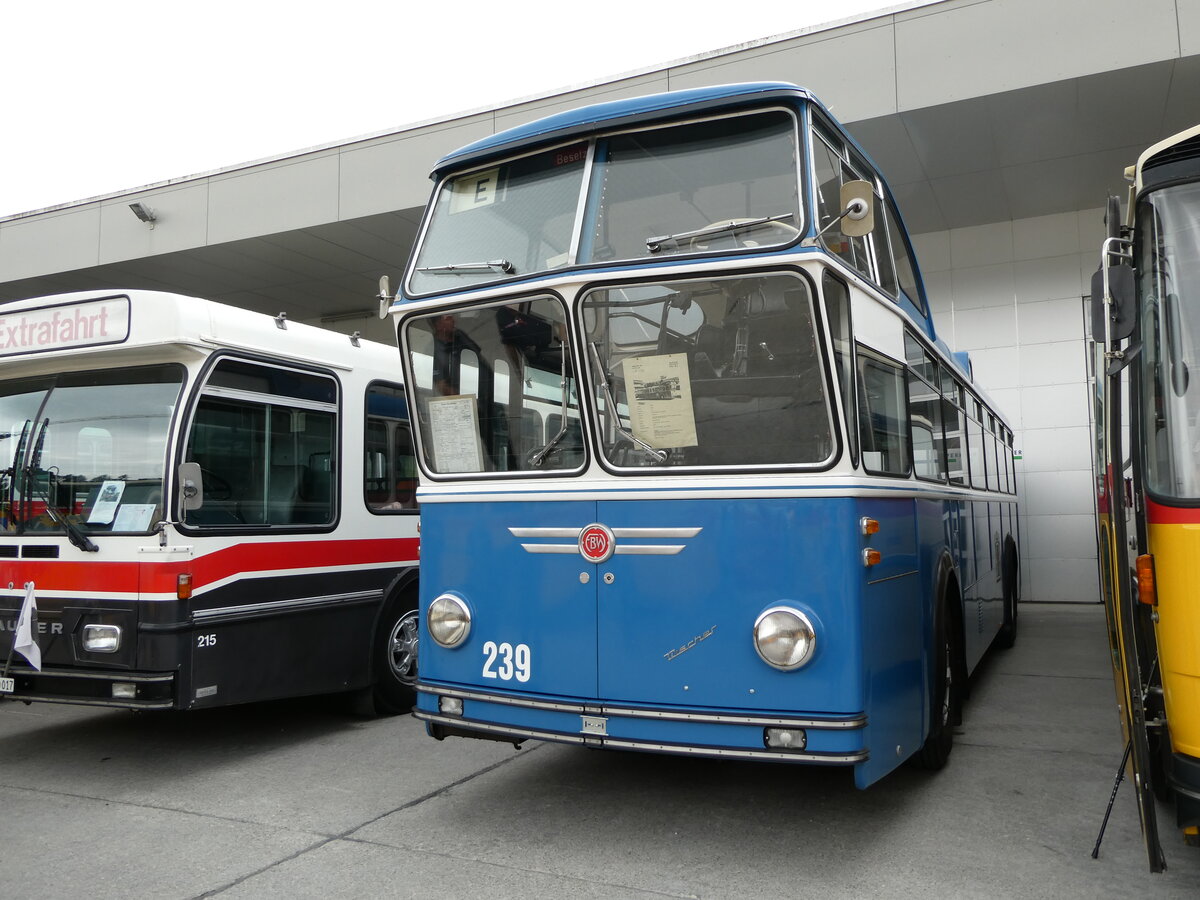 (239'579) - VBZ Z�rich (FBW-Club) - Nr. 239 - FBW/T�scher Hochlenker (ex Kamm, Schlieren; ex VBZ Zr�cih Nr. 239; ex VBZ Z�rich Nr. 219) am 27. August 2022 in Oberkirch, CAMPUS Sursee