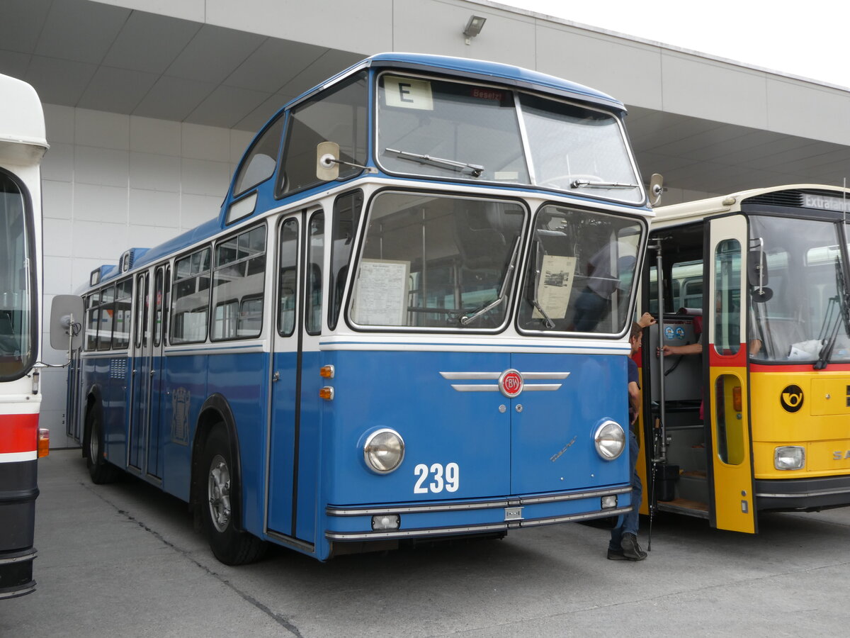 (239'586) - VBZ Z�rich (FBW-Club) - Nr. 239 - FBW/T�scher Hochlenker (ex Kamm, Schlieren; ex VBZ Z�rich Nr. 239; ex VBZ Z�rich Nr. 219) am 27. August 2022 in Oberkirch, CAMPUS Sursee