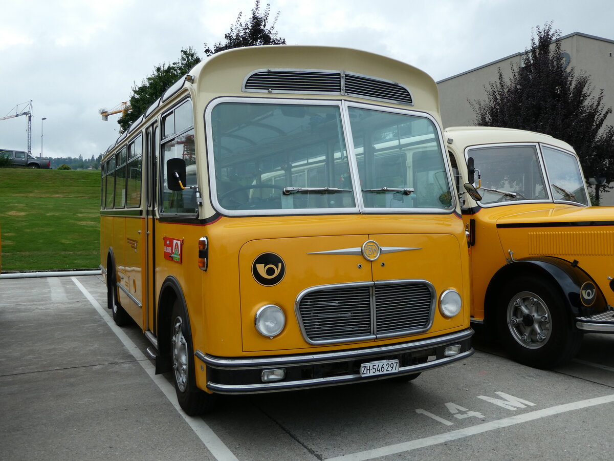 (239'615) - R�ber, Mettmenstetten - ZH 546'297 - FBW/Gangloff (ex P 23'202; ex P 21'002) am 27. August 2022 in Oberkirch, CAMPUS Sursee