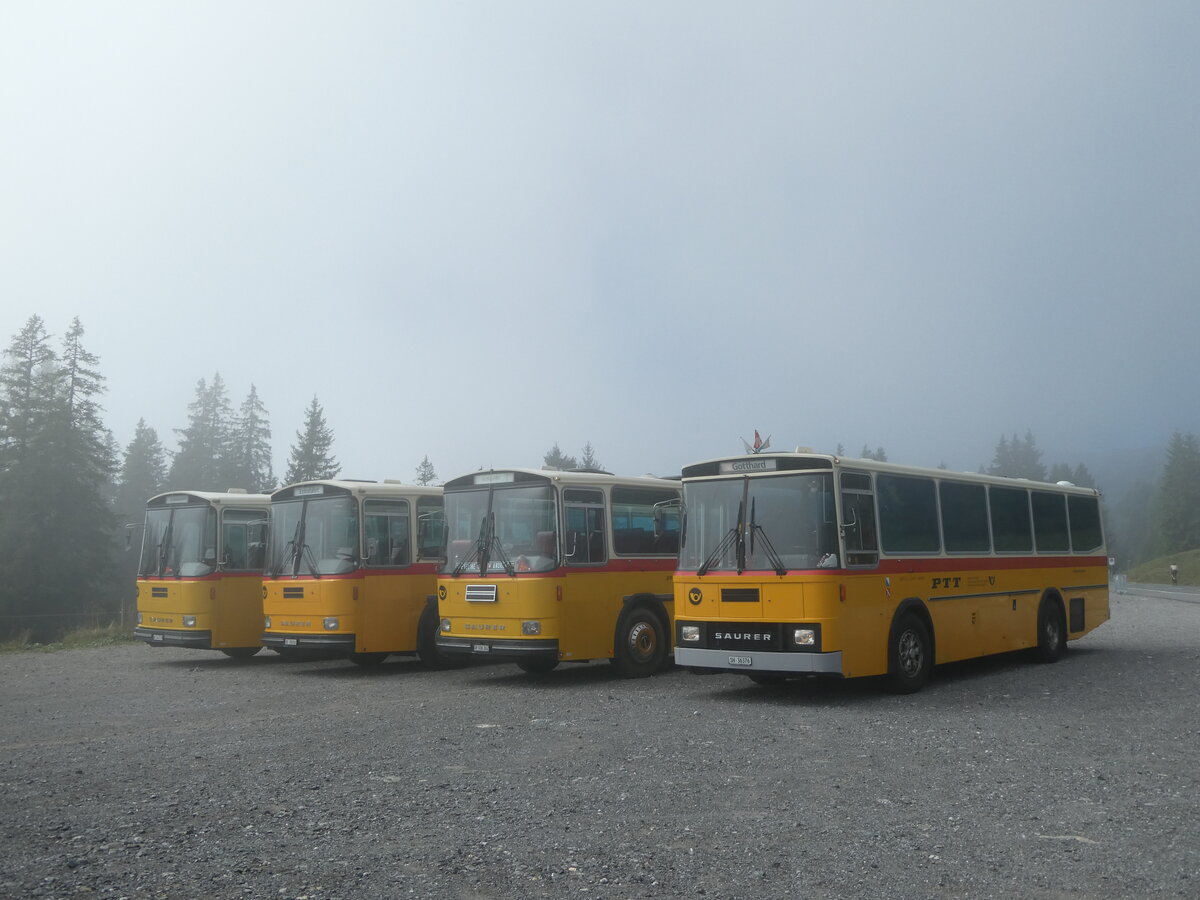 (239'777) - Roth, Z�rich - SH 36'376 - Saurer/T�scher (ex Looser, Elm; ex Mattli, Wassen) am 28. August 2022 in Stalden, Langis