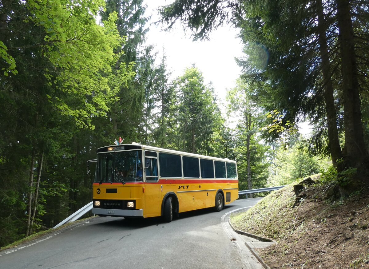 (239'846) - Roth, Z�rich - SH 36'376 - Saurer/T�scher (ex Looser, Elm; ex Mattli, Wassen) am 28. August 2022 in Giswil, Emmenwald