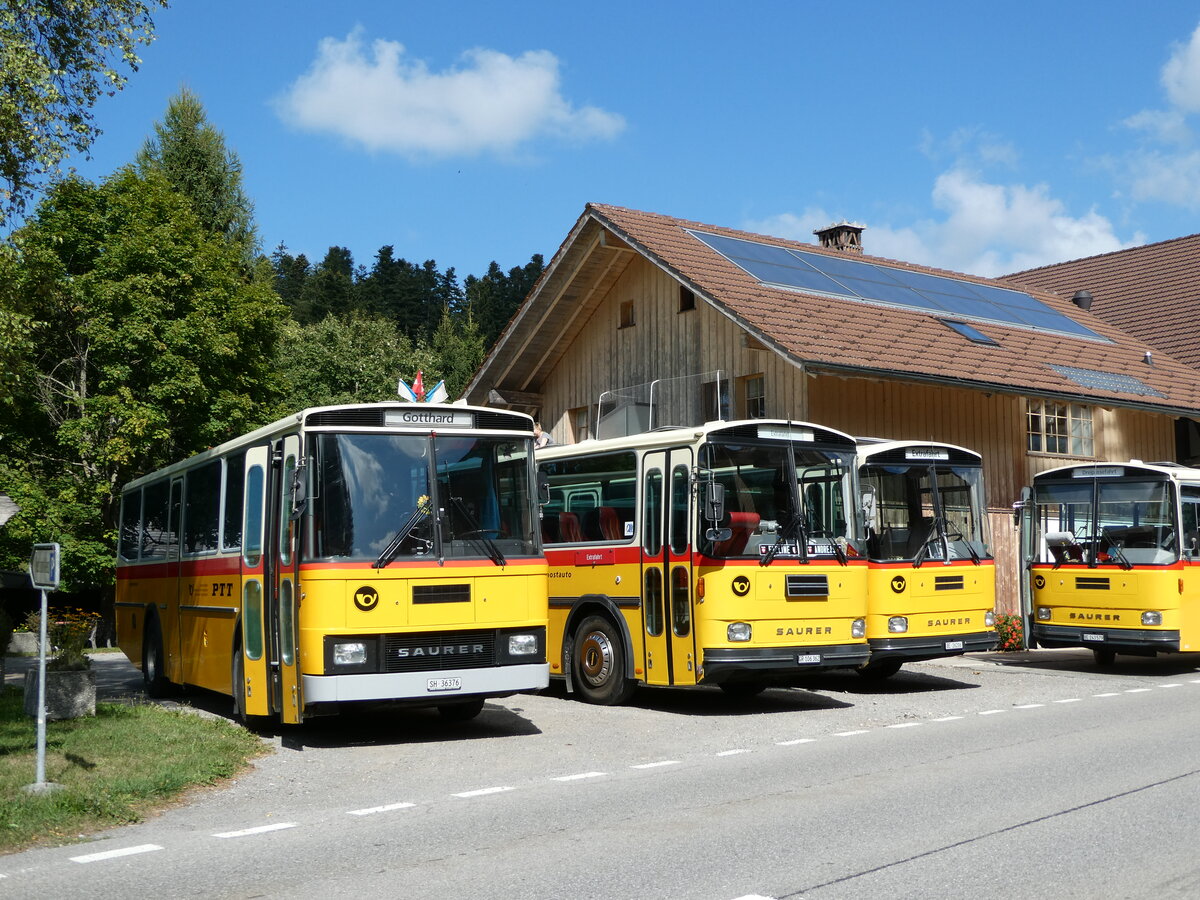 (239'868) - Roth, Z�rich - SH 36'376 - Saurer/T�scher (ex Looser, Elm; ex Mattli, Wassen) am 28. August 2022 in Schwarzenegg, Restaurant Kreuz