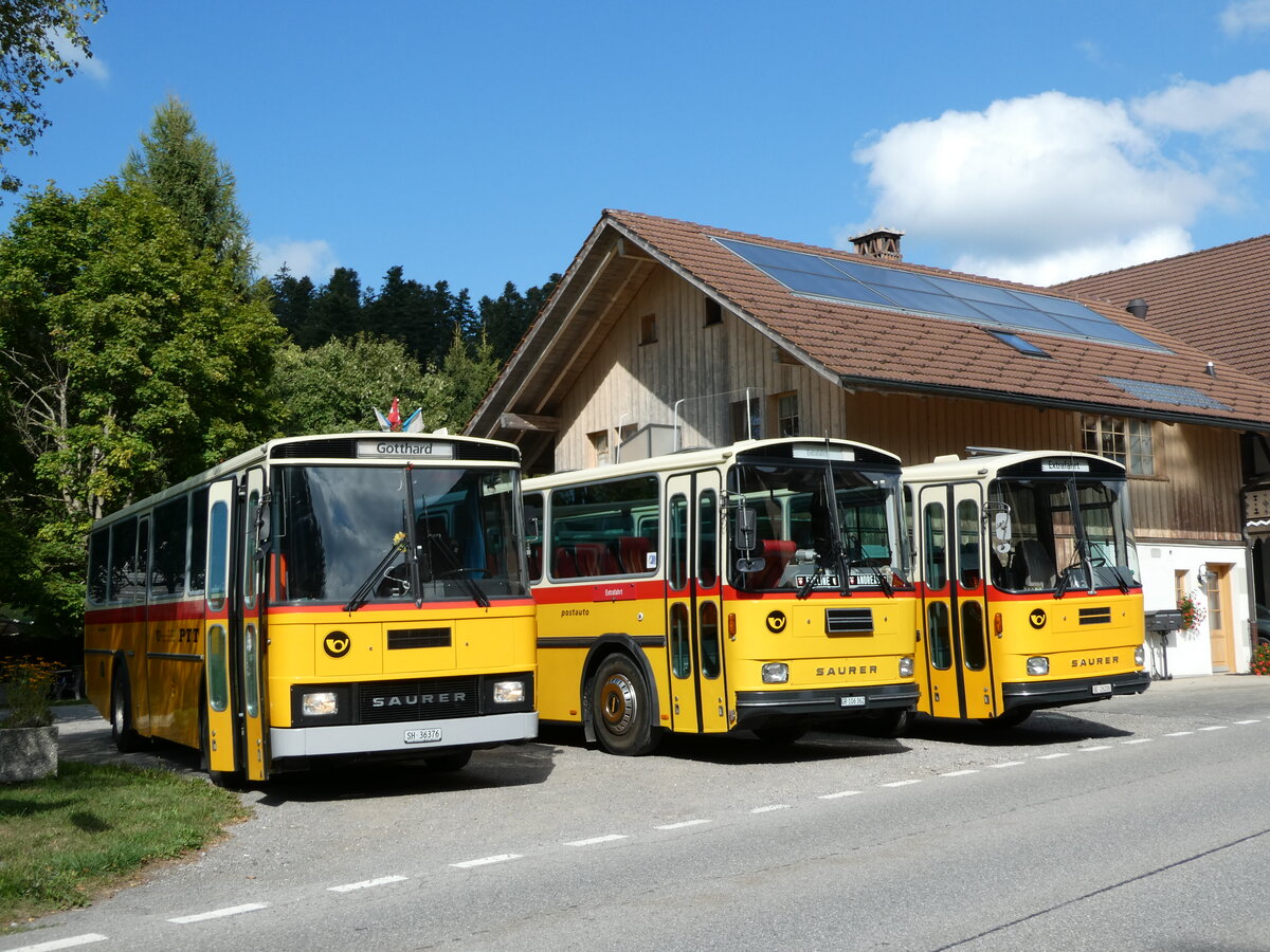 (239'877) - Roth, Z�rich - SH 36'376 - Saurer/T�scher (ex Looser, Elm; ex Mattli, Wassen) am 28. August 2022 in Schwarzenegg, Restaurant Kreuz