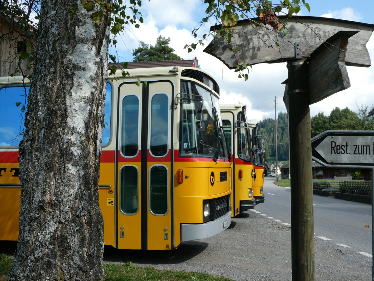 (239'881) - Roth, Z�rich - SH 36'376 - Saurer/T�scher (ex Looser, Elm; ex Mattli, Wassen) am 28. August 2022 in Schwarzenegg, Restaurant Kreuz (Teilaufnahme)
