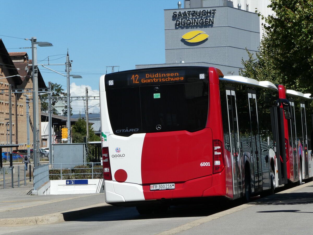 (239'998) - TPF Fribourg - Nr. 6001/FR 300'216 - Mercedes am 11. September 2022 beim Bahnhof D�dingen