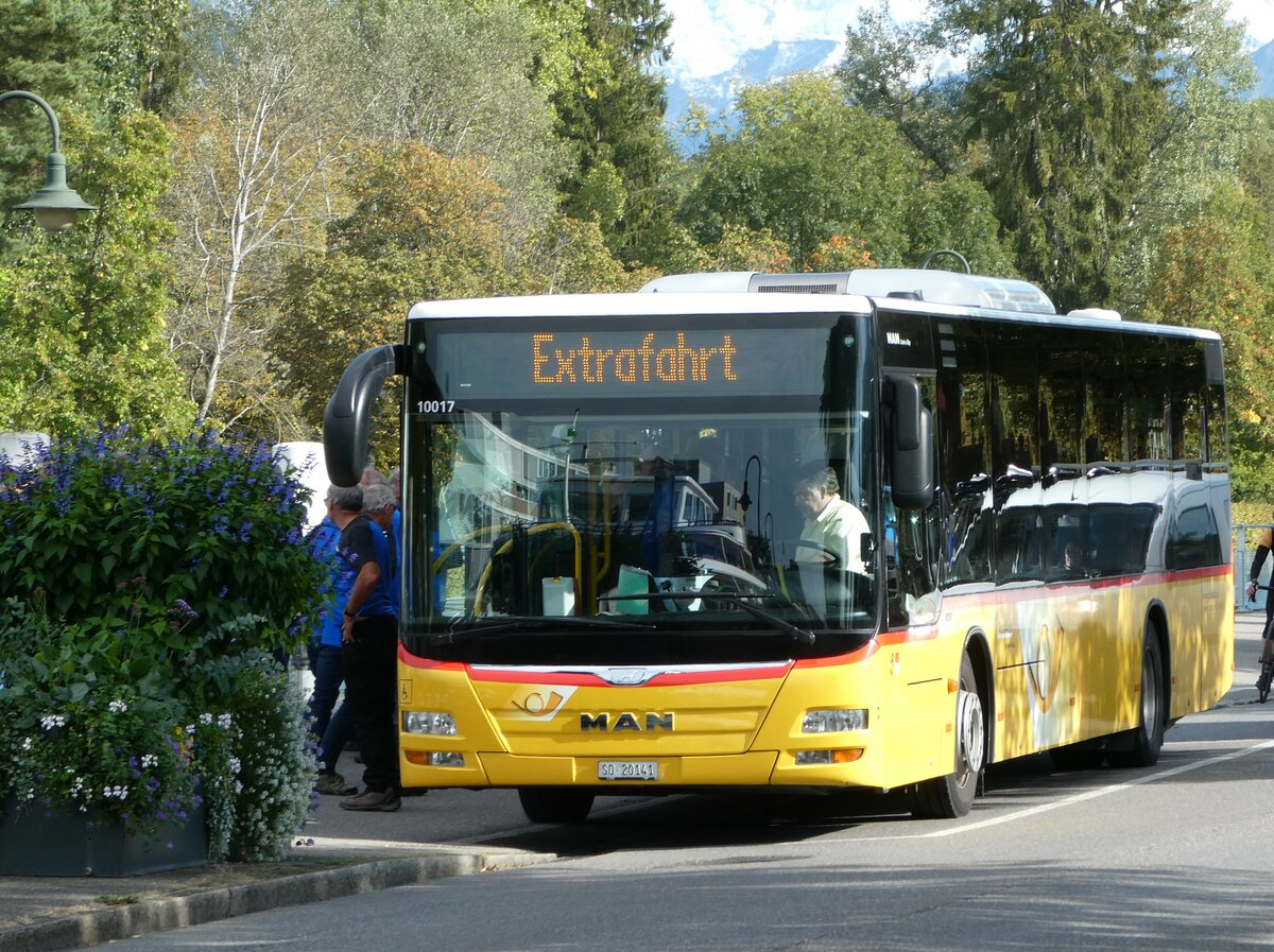 (240'126) - Steiner, Messen - SO 20'141 - MAN am 18. September 2022 bei der Schiffl�ndte Thun