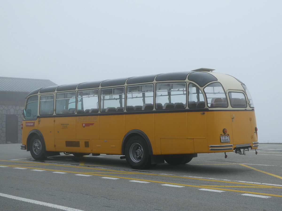 (240'273) - Gerber, Matzendorf - SO 50'805 - FBW/R&J (ex Kontiki, Wettingen; ex P 24'001; ex P 21'501) am 25. September 2022 in Grimsel, Passh�he