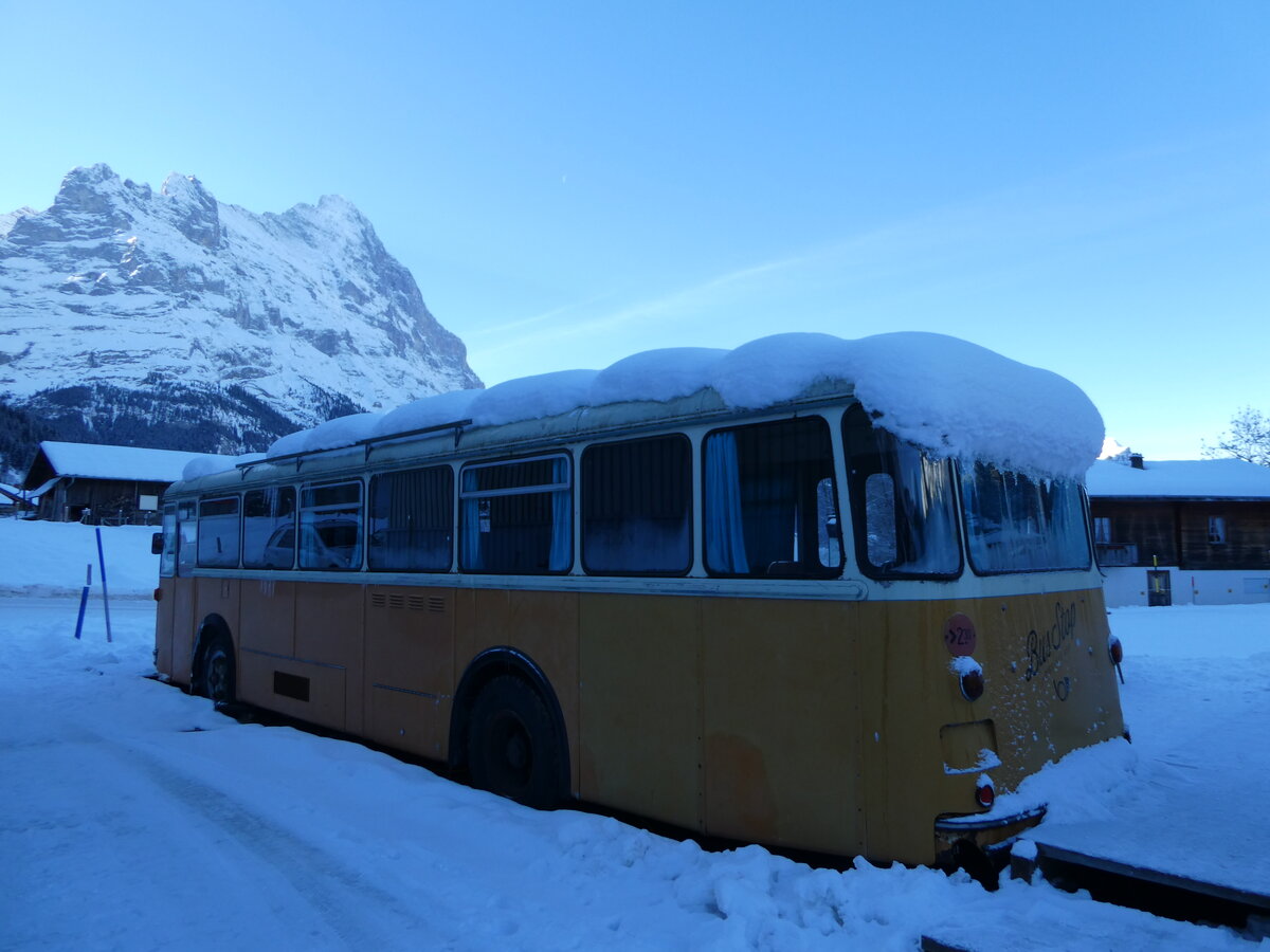 (243'990) - Bus Stop, Grindelwald - Nr. 5 - FBW/R&J (ex Schuler, Orpund; ex Tramverein, Bern; ex Meier, Studen; ex Sch�r, Aegerten; ex ABM Meinisberg Nr. 5; ex ABM Meinisberg Nr. 1) am 18. Dezember 2022 in Grindelwald, Steinacher