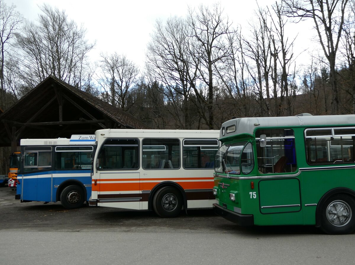 (246'679) - Krauer, Kehrsatz - Volvo/R&J (ex VBL Luzern Nr. 111) + Wegm�ller, M�nsingen - FBW/R&J (ex Bamert, Wollerau) + BVB Basel (RWB) - Nr. 75 - FBW/FHS am 26. Februar 2023 in Oberburg, Ziegelgut (Teilaufnahme)