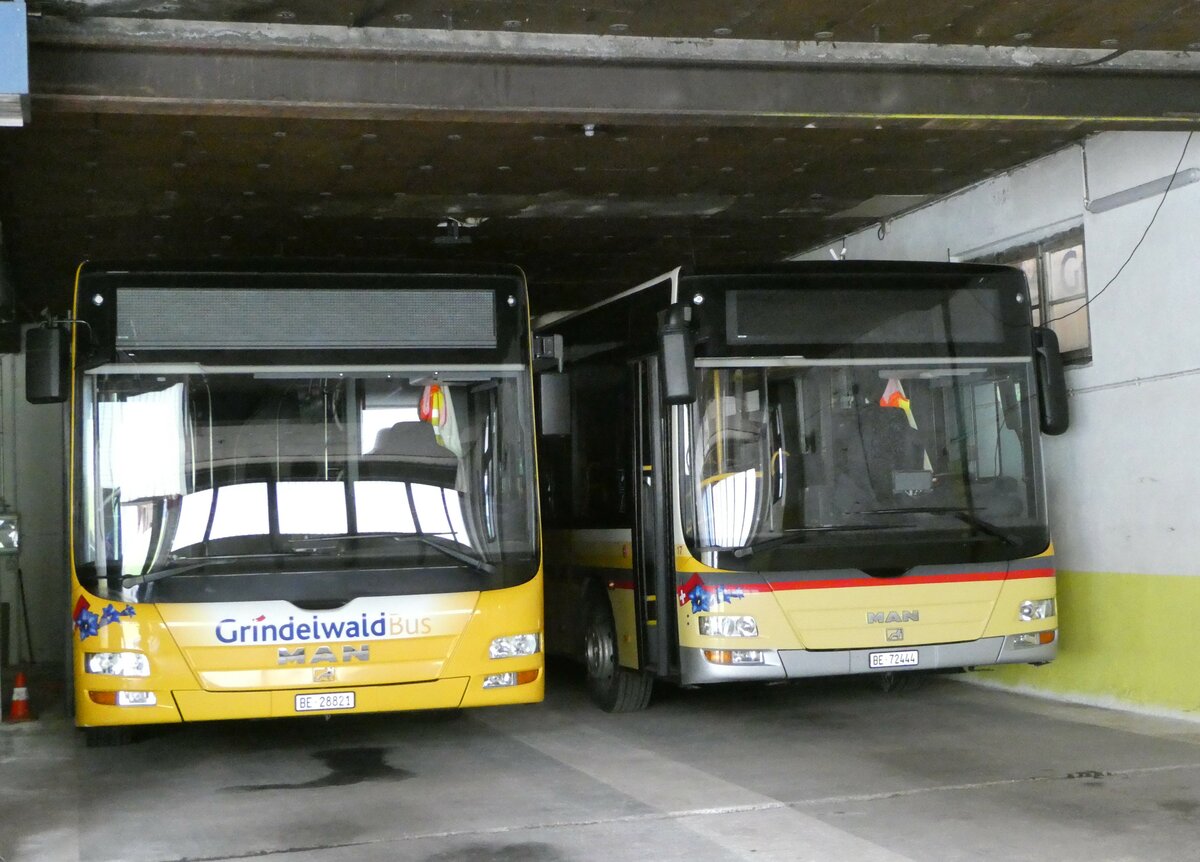 (248'828) - Grindelwaldbus, Grindelwald - Nr. 16/BE 28'821 - MAN + Nr. 17/BE 72'444 - MAN/G�ppel (ex STI Thun Nr. 133) am, 18. April 2023 in Grindelwald, Garage