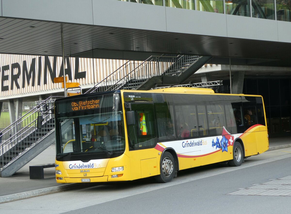 (248'890) - Grindelwaldbus, Grindelwald - Nr. 11/BE 261'865 - MAN/G�ppel am 19. April 2023 in Grindelwald, Terminal