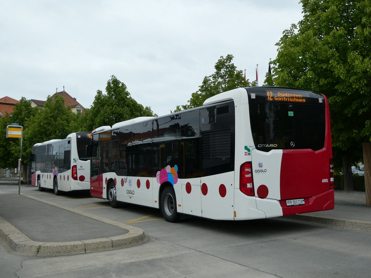 (250'299) - TPF Fribourg - Nr. 6001/FR 300'216 - Mercedes am 20. Mai 2023 beim Bahnhof D�dingen