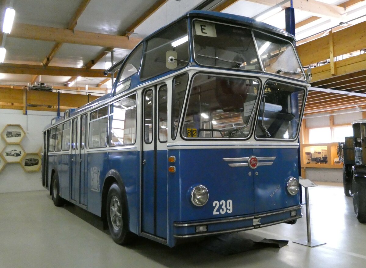 (250'337) - VBZ Z�rich (FBW-Club) - Nr. 239 - FBW/T�scher Hochlenker (ex Kamm, Schlieren; ex VBZ Z�rich Nr. 239; ex VBZ Z�rich Nr. 219) am 21. Mai 2023 in Wetzikon, FBW-Museum