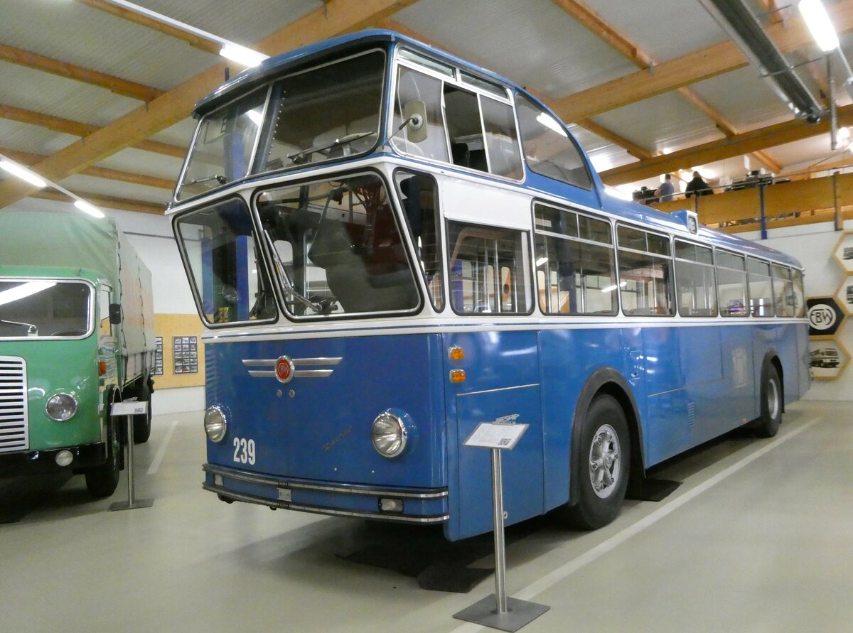 (250'349) - VBZ Z�rich (FBW-Club) - Nr. 239 - FBW/T�scher Hochlenker (ex Kamm, Schlieren; ex VBZ Z�rich Nr. 239; ex VBZ Z�rich Nr. 219) am 21. Mai 2023 in Wetzikon, FBW-Museum