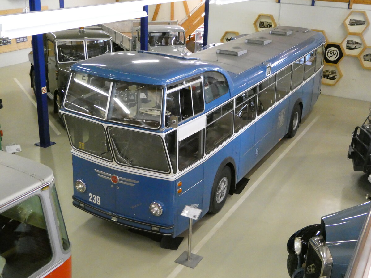 (250'356) - VBZ Z�rich (FBW-Club) - Nr. 239 - FBW/T�scher Hochlenker (ex Kamm, Schlieren; ex VBZ Z�rich Nr. 239; ex VBZ Z�rich Nr. 219) am 21. Mai 2023 in Wetzikon, FBW-Museum
