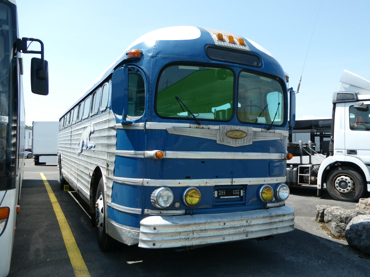 (251'588) - Greyhoundbus, Murten - GMC (ex Wooster, Z�rich; ex Northland Greyhound Lines, USA-Minneapolis Nr. N796) am 17. Juni 2023 in Kerzers, Interbus