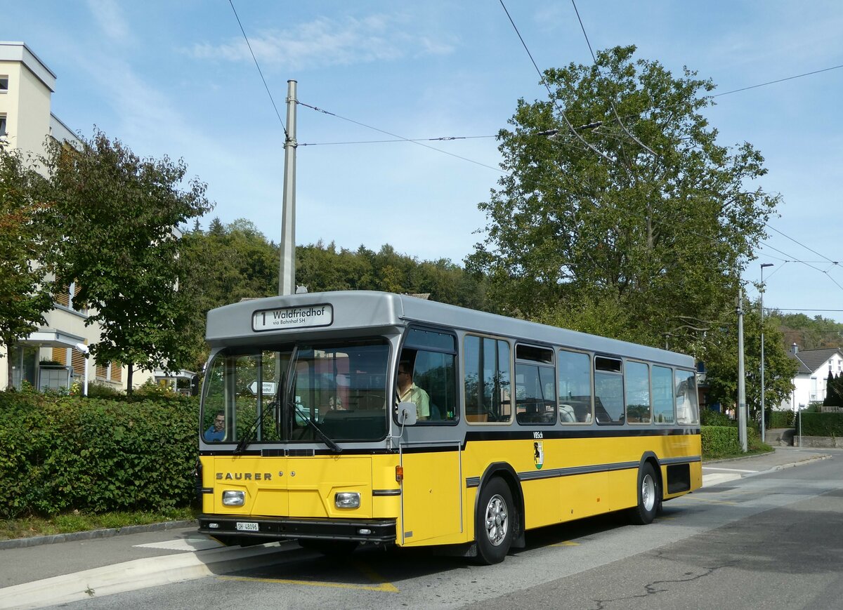 (255'285) - Wanner, Schleitheim - SH 48'096 - Saurer/Hess (ex Ruklic, Schaffhausen; ex VBSH Schaffhausen Nr. 40; ex VBSH Schaffhausen Nr. 19) am 17. September 2023 in Neuhausen, Herbst�cker