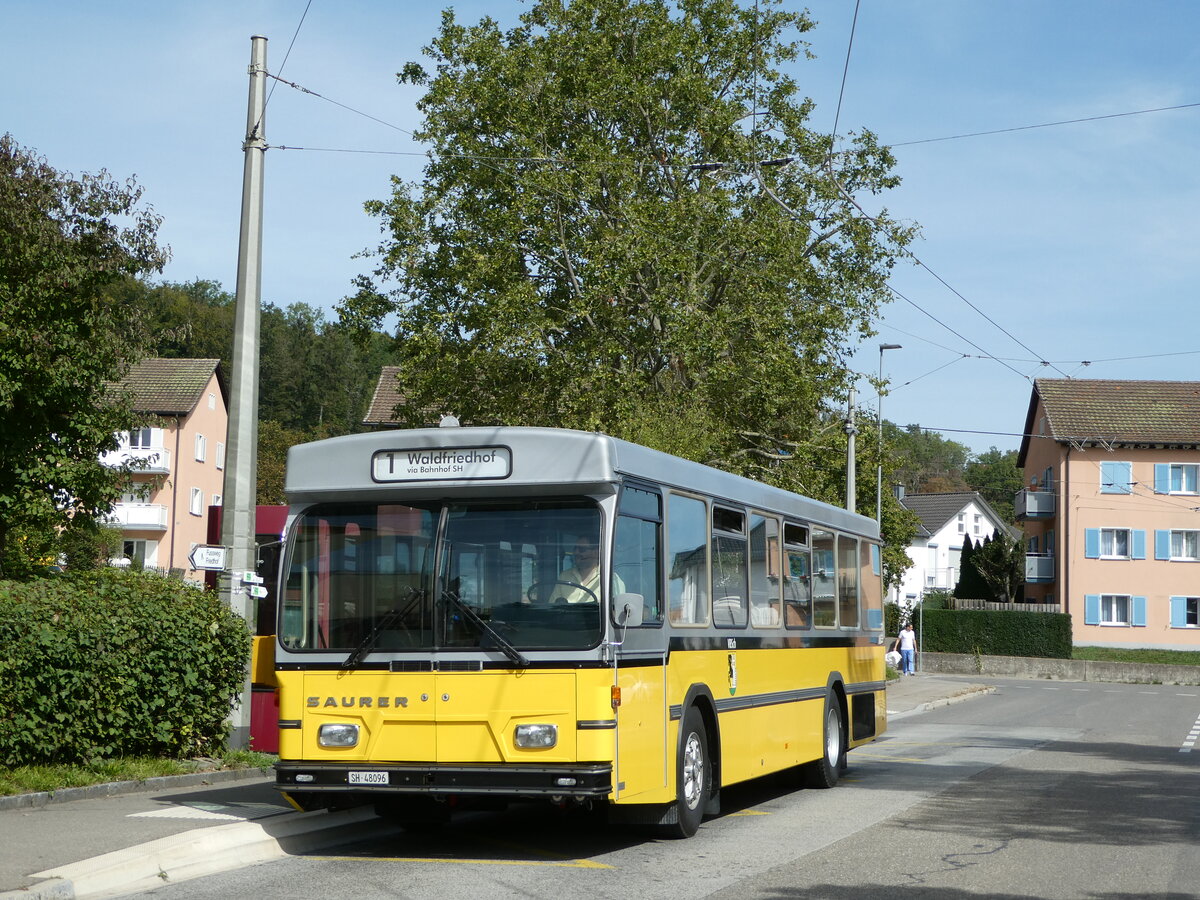 (255'287) - Wanner, Schleitheim - SH 48'096 - Saurer/Hess (ex Ruklic, Schaffhausen; ex VBSH Schaffhausen Nr. 40; ex VBSH Schaffhausen Nr. 19) am 17. September 2023 in Neuhausen, Herbst�cker