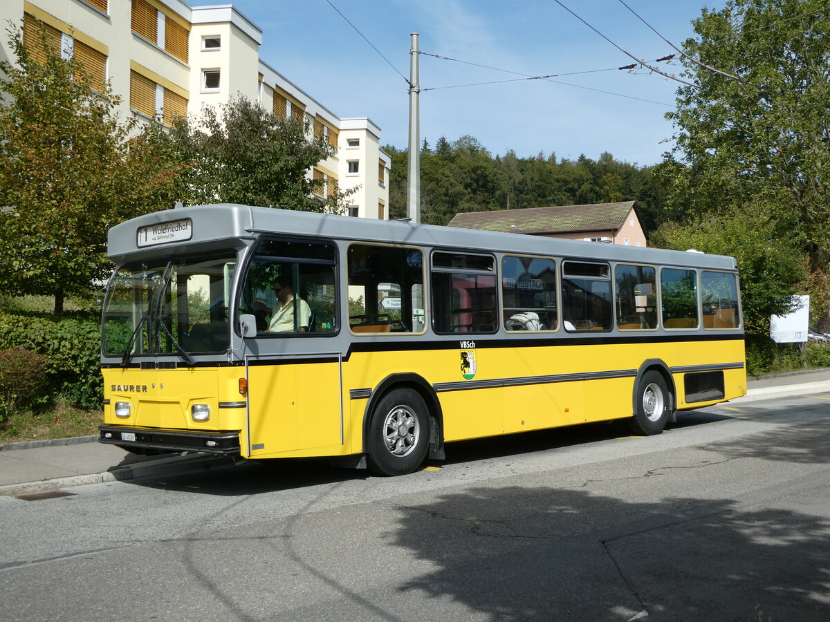 (255'288) - Wanner, Schleitheim - SH 48'096 - Saurer/Hess (ex Ruklic, Schaffhausen; ex VBSH Schaffhausen Nr. 40; ex VBSH Schaffhausen Nr. 19) am 17. September 2023 in Neuhausen, Herbst�cker