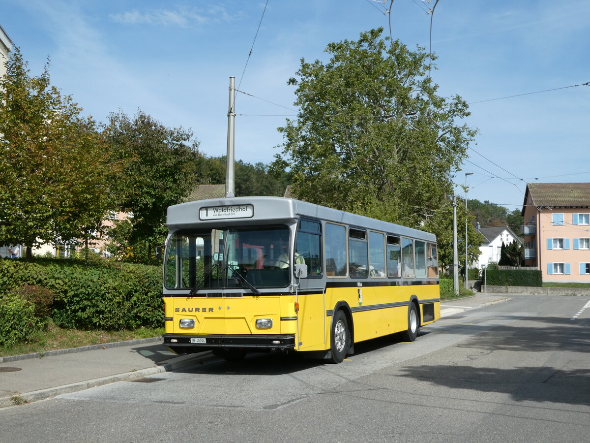 (255'290) - Wanner, Schleitheim - SH 48'096 - Saurer/Hess (ex Ruklic, Schaffhausen; ex VBSH Schaffhausen Nr. 40; ex VBSH Schaffhausen Nr. 19) am 17. September 2023 in Neuhausen, Herbst�cker