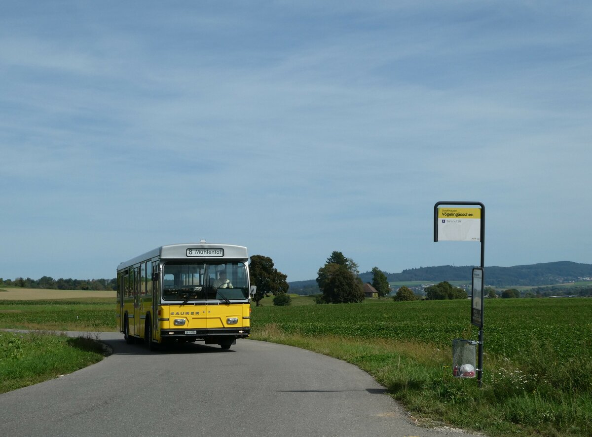 (255'322) - Wanner, Schleitheim - SH 48'096 - Saurer/Hess (ex Ruklic, Schaffhausen; ex VBSH Schaffhausen Nr. 40; ex VBSH Schaffhausen Nr. 19) am 17. September 2023 in Schaffhausen, V�geling�sschen