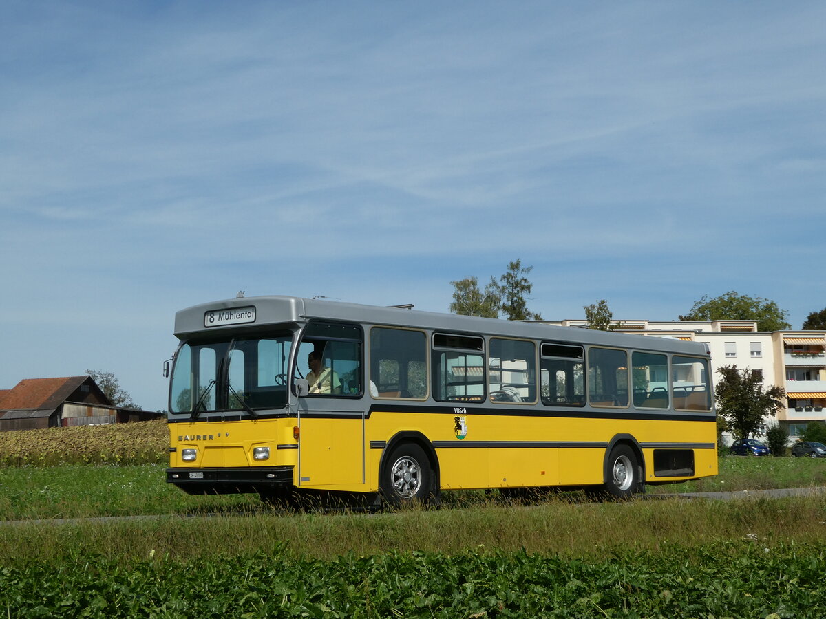 (255'327) - Wanner, Schleitheim - SH 48'096 - Saurer/Hess (ex Ruklic, Schaffhausen; ex VBSH Schaffhausen Nr. 40; ex VBSH Schaffhausen Nr. 19) am 17. September 2023 in Schaffhausen, V�geling�sschen