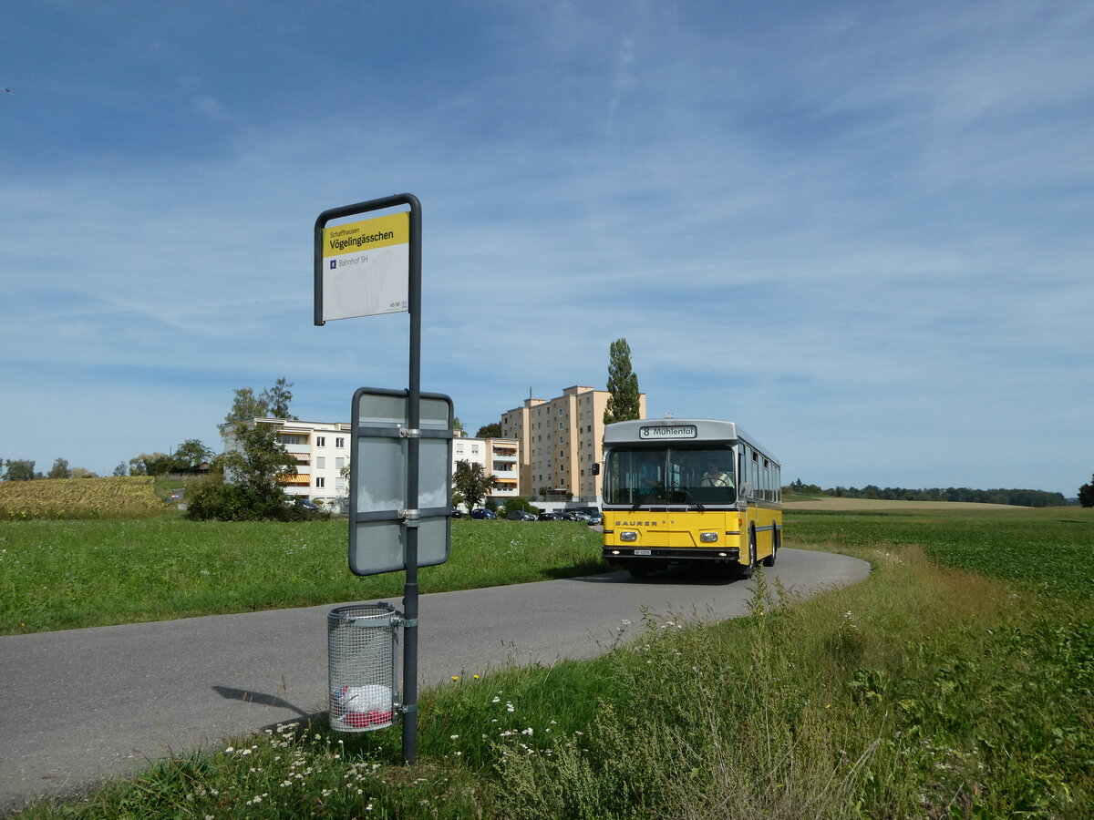 (255'328) - Wanner, Schleitheim - SH 48'096 - Saurer/Hess (ex Ruklic, Schaffhausen; ex VBSH Schaffhausen Nr. 40; ex VBSH Schaffhausen Nr. 19) am 17. September 2023 in Schaffhausen, V�geling�sschen