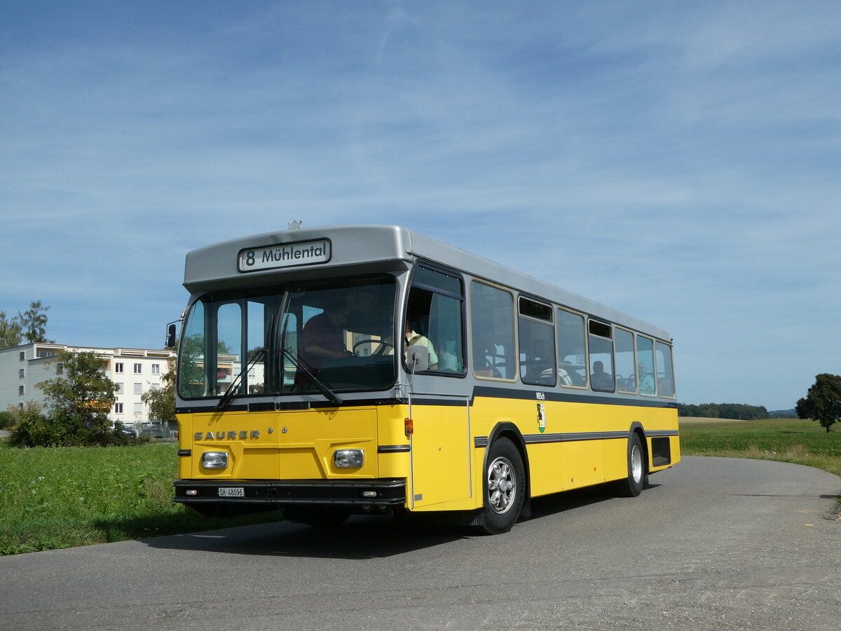 (255'330) - Wanner, Schleitheim - SH 48'096 - Saurer/Hess (ex Ruklic, Schaffhausen; ex VBSH Schaffhausen Nr. 40; ex VBSH Schaffhausen Nr. 19) am 17. September 2023 in Schaffhausen, V�geling�sschen
