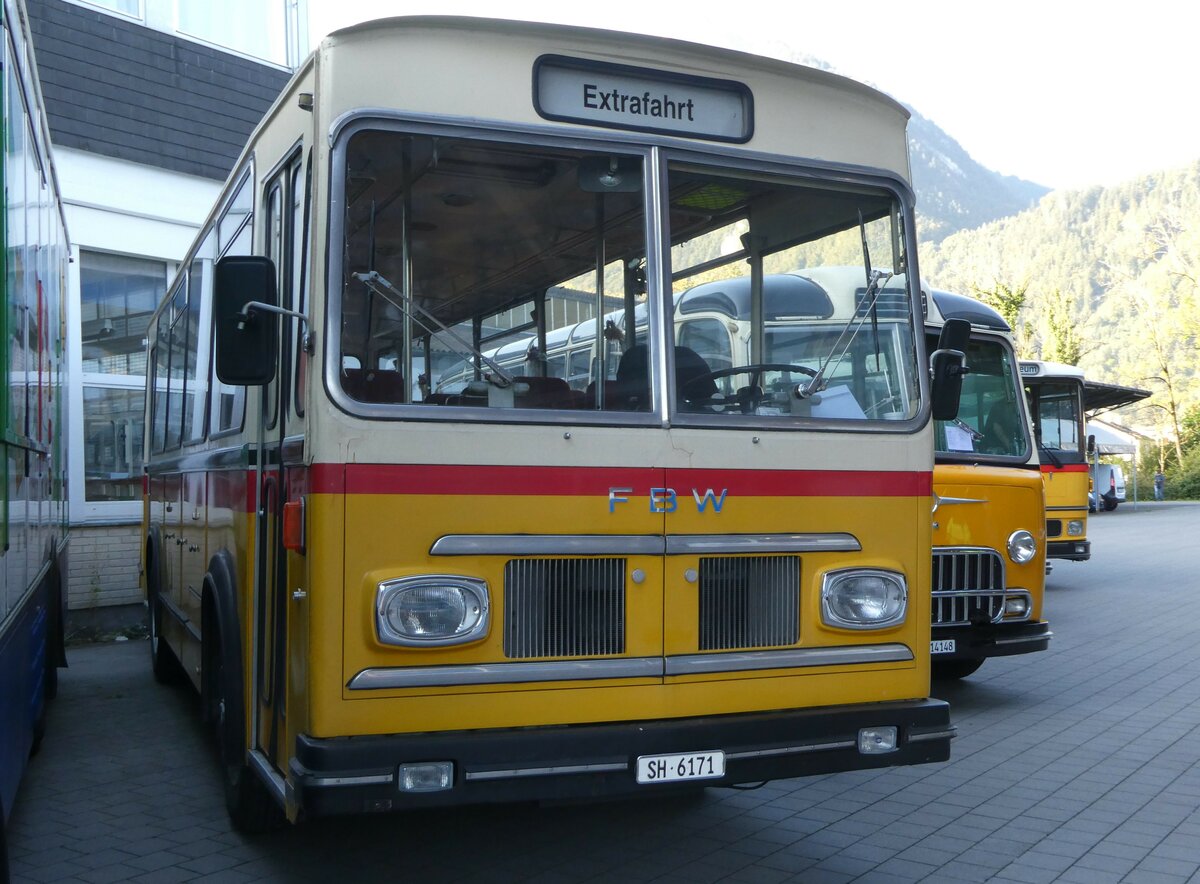 (255'894) - Sch�pfer, Hemmental - SH 6171 - FBW/FHS (ex Ruch, Schaffhausen; ex Niederer, Grub; ex Baumgartner, Horn; ex Bucheli, Kriens Nr. 9; ex Bucheli, Kriens Nr. 16) am 7. Oktober 2023 in N�fels, FBW-Museum