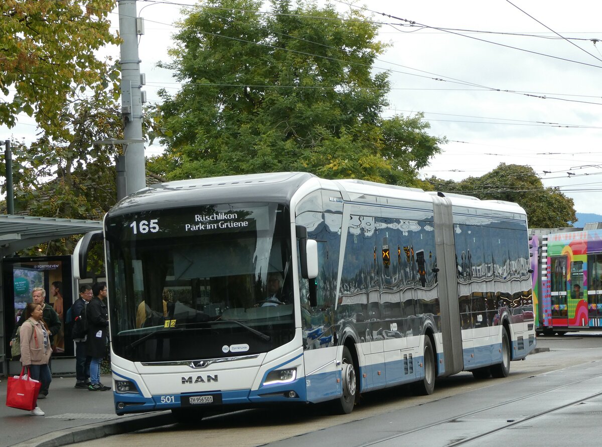 (256'245) - VBZ Z�rich - Nr. 501/ZH 956'501 - MAN am 21. Oktober 2023 in Z�rich, B�rkliplatz