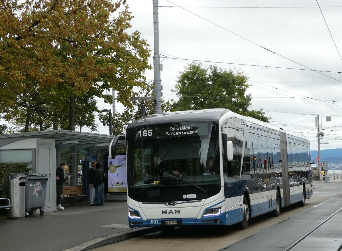 (256'246) - VBZ Z�rich - Nr. 501/ZH 956'501 - MAN am 21. Oktober 2023 in Z�rich, B�rkliplatz