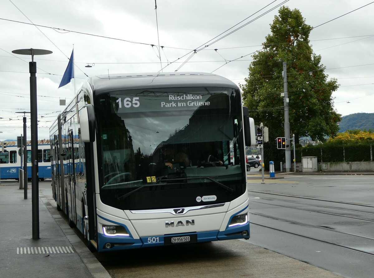(256'247) - VBZ Z�rich - Nr. 501/ZH 956'501 - MAN am 21. Oktober 2023 in Z�rich, B�rkliplatz