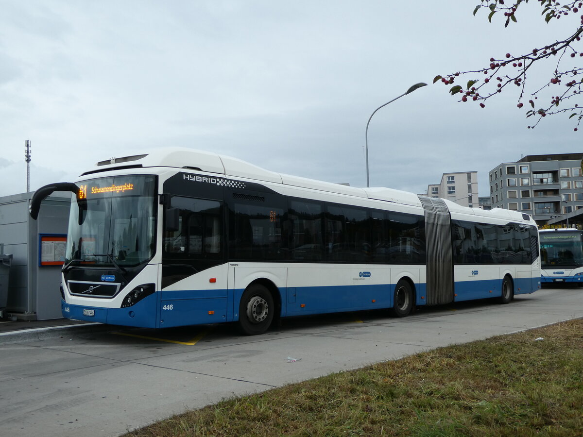 (256'346) - VBZ Z�rich - Nr. 446/ZH 907'446 - Volvo am 21. Oktober 2023 in Z�rich, M�hlacker