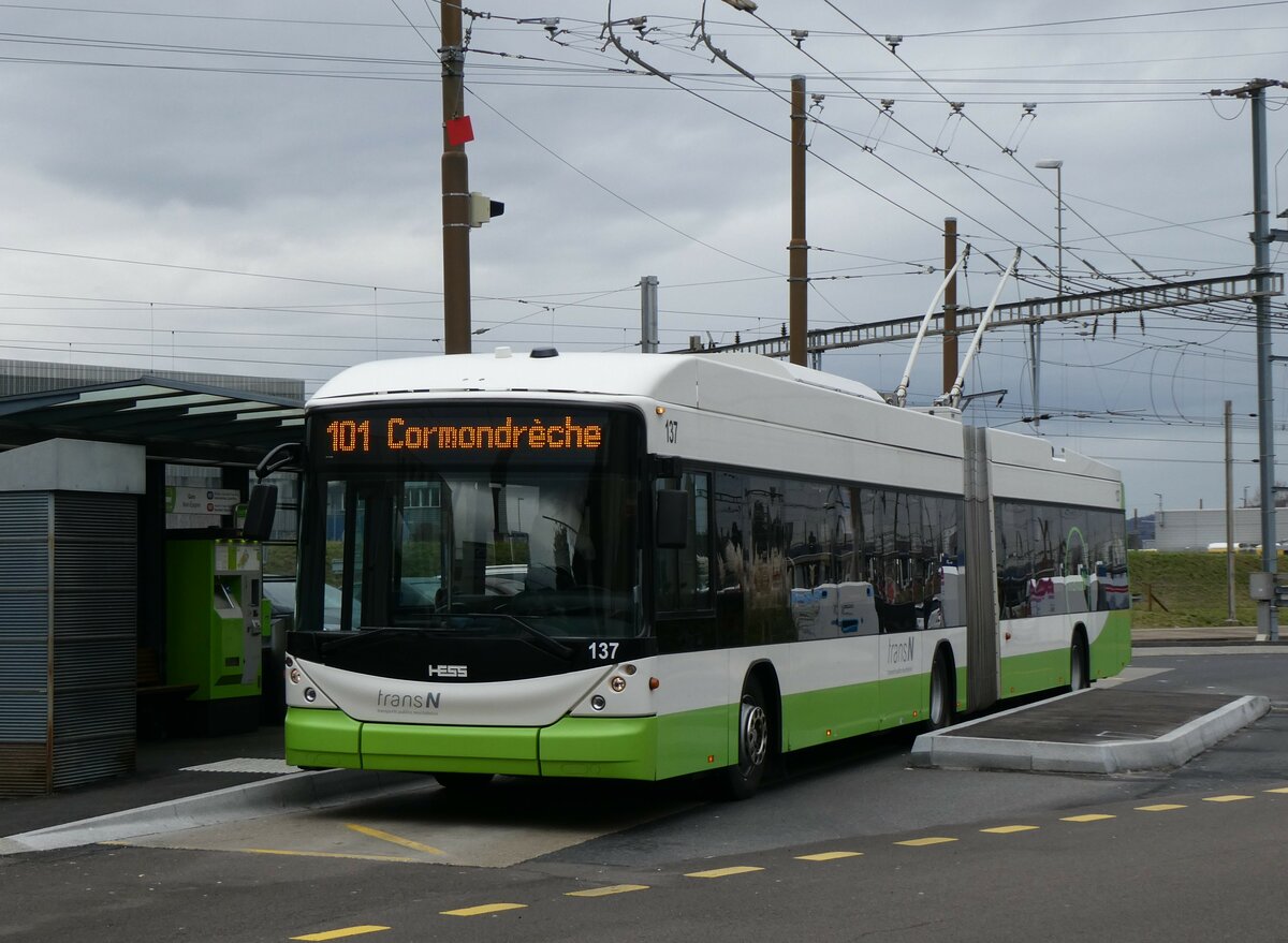 (258'960) - transN, La Chaux-de-Fonds - Nr. 137 - Hess/Hess Gelenktrolleybus (ex TN Neuch�tel Nr. 137) am 26. Januar 2024 beim Bahnhof Marin-�pagnier