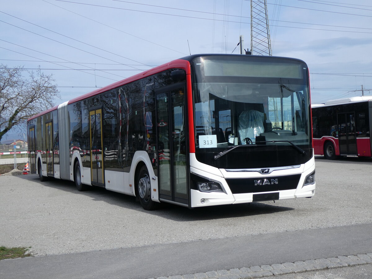 (259'838) - Twerenbold, Baden - Nr. 313 - MAN am 2. M�rz 2024 in Kerzers, Murtenstrasse