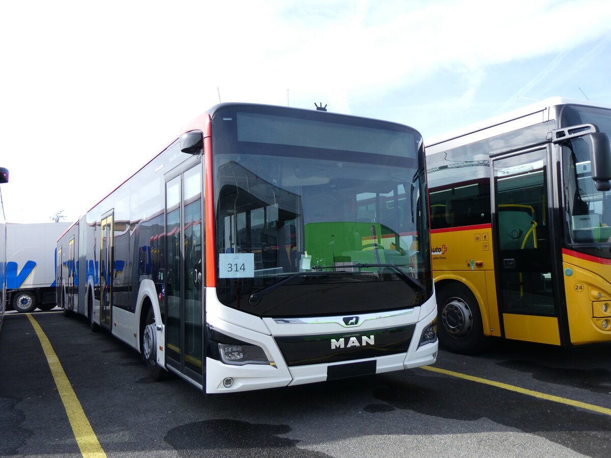 (259'845) - Twerenbold, Baden - 314 - MAN am 2. M�rz 2024 in Kerzers, Interbus