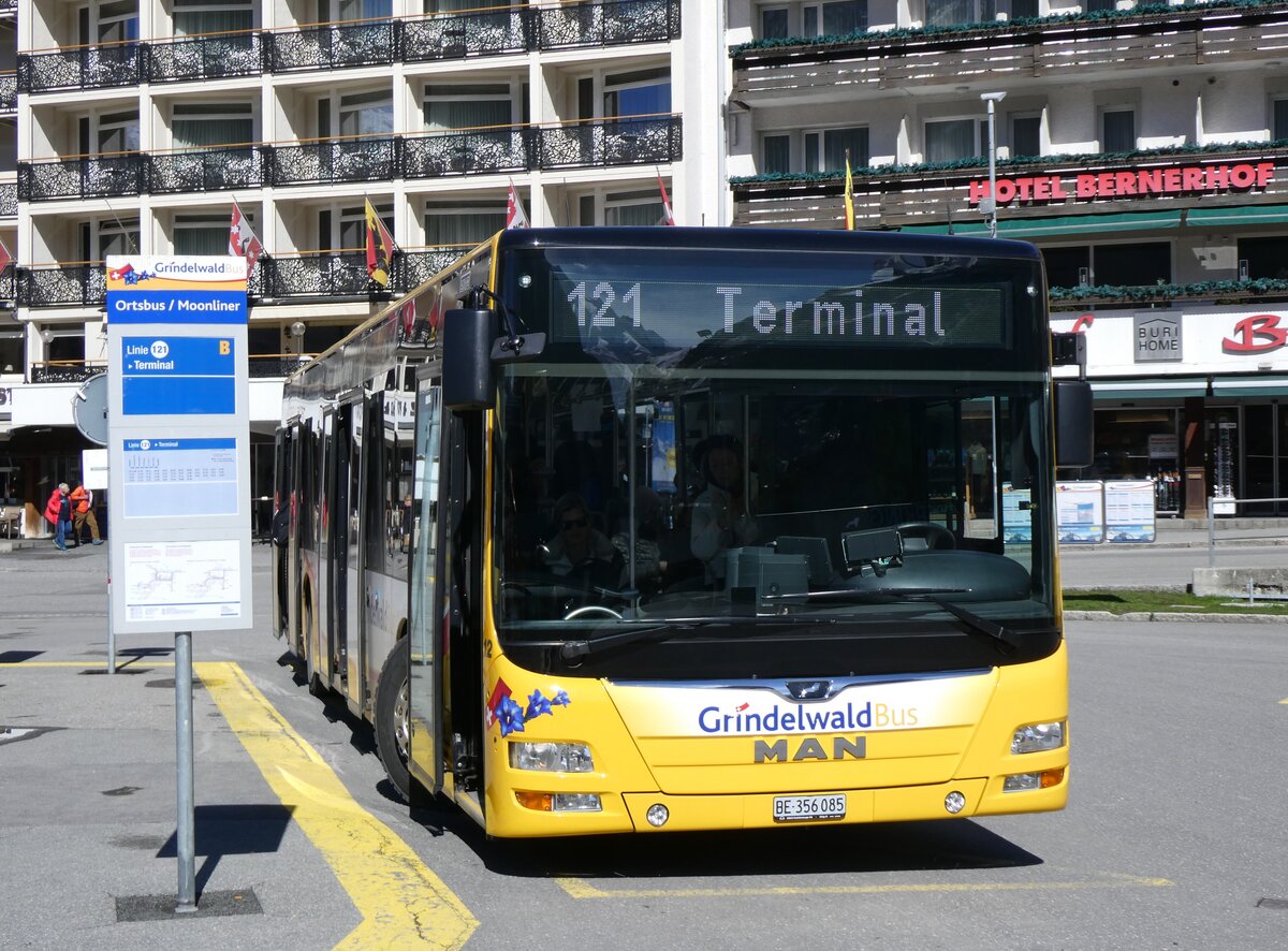 (260'526) - GrindelwaldBus, Grindelwald - Nr. 12/BE 356'085 - MAN am 19. M�rz 2024 beim Bahnhof Grindelwald