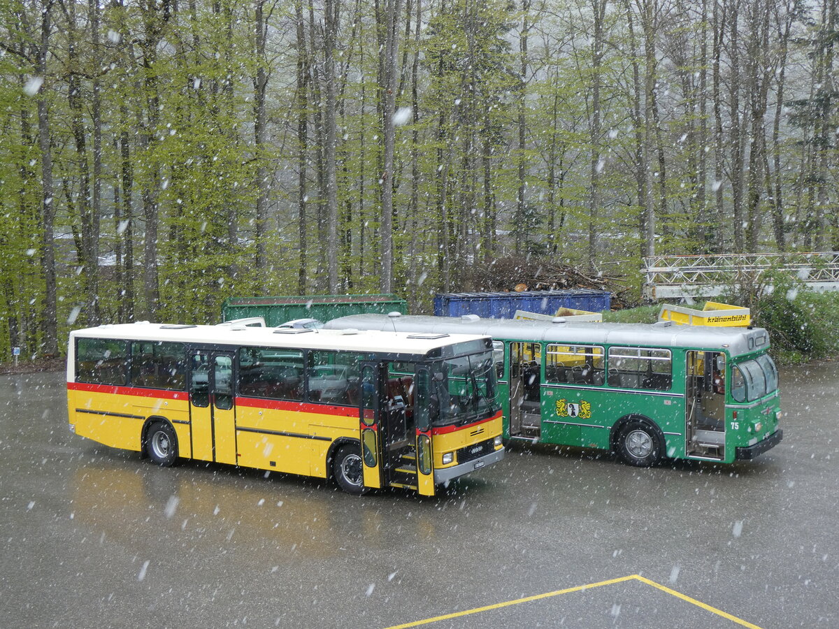 (261'600) - Widmer, Bern - BE 842'322 - NAW/Hess (ex Lombardi, Winterthur; ex Wohlgemuth, Hochwald PID 2208) am 21. April 2024 in Burgdorf, �kihof Ziegelgut