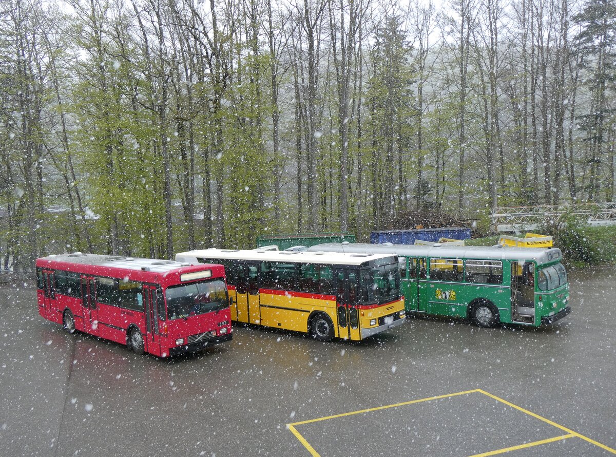 (261'601) - Bernmobil, Bern (SOB) - Nr. 193 - Volvo/Gangloff am 21. April 2024 in Burgdorf, �kihof Ziegelgut