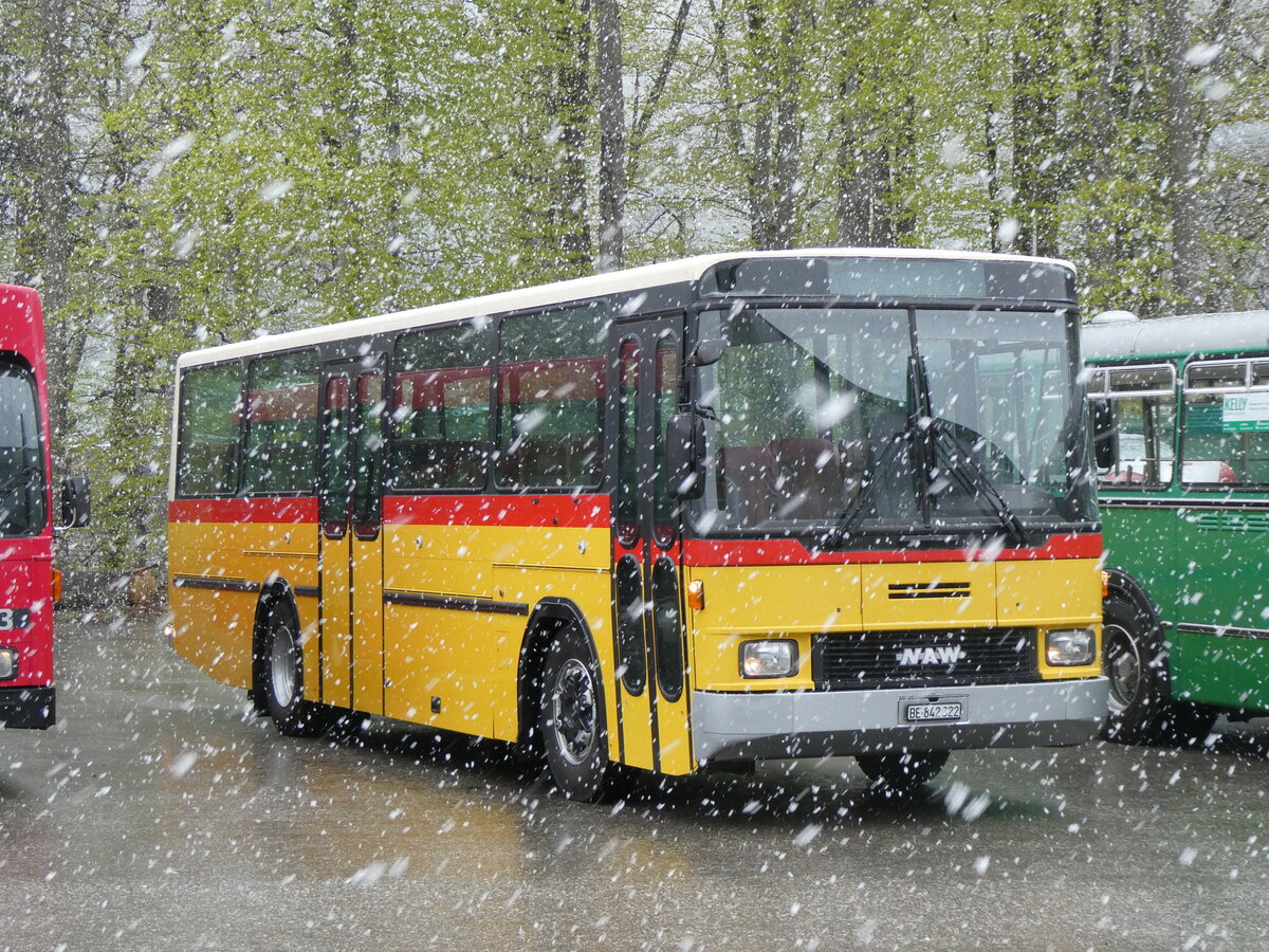 (261'605) - Widmer, Bern - BE 842'322 - NAW/Hess (ex Lombardi, Winterthur; ex Wohlgemuth, Hochwald PID 2208) am 21. April 2024 in Burgdorf, �kihof Ziegelgut