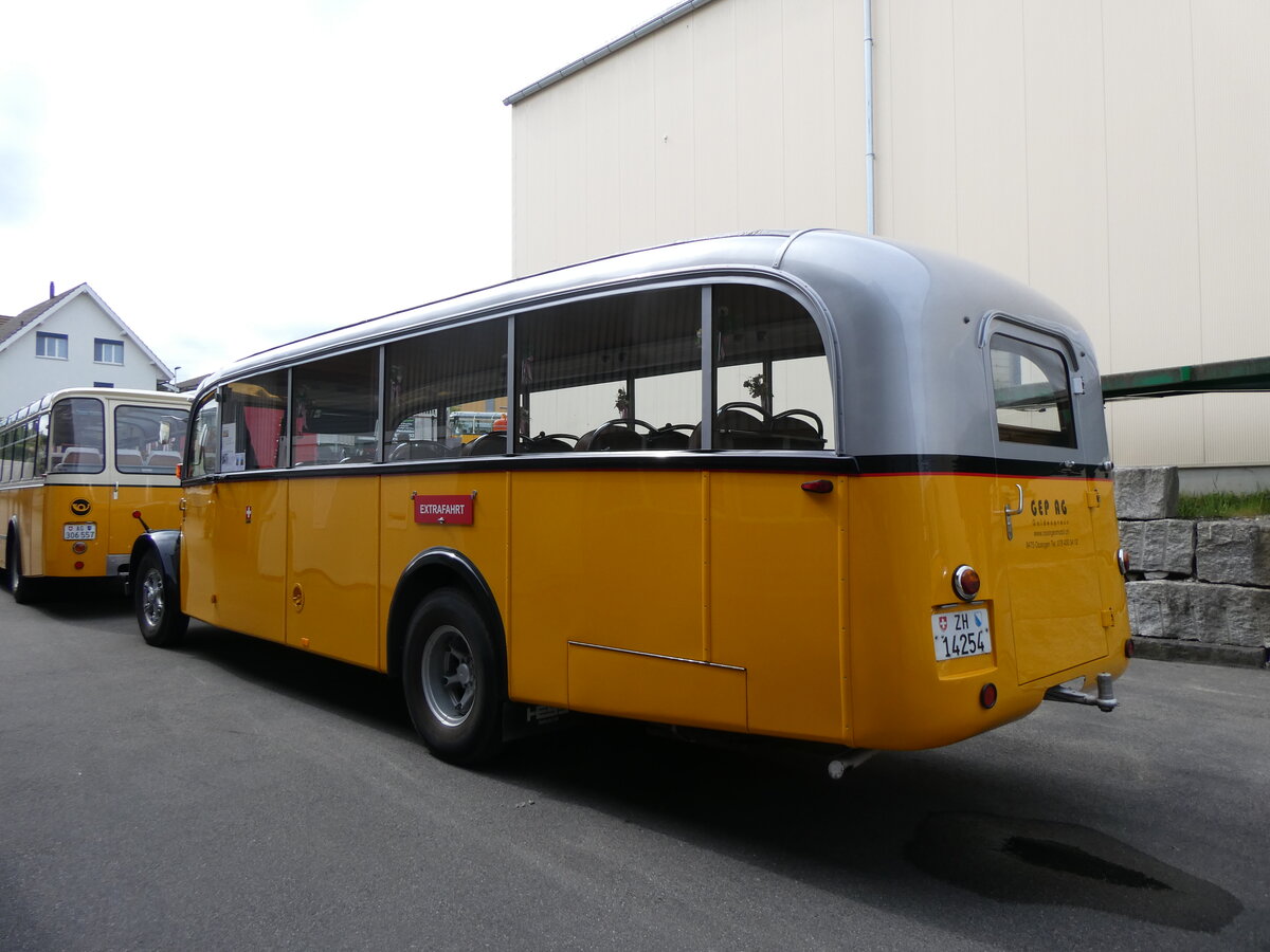 (262'008) - Goldexpress, Ossingen - ZH 14'254 - Saurer/R&J (ex P 23'066; ex P 2118) am 4. Mai 2024 in Attikon, Wegm�ller