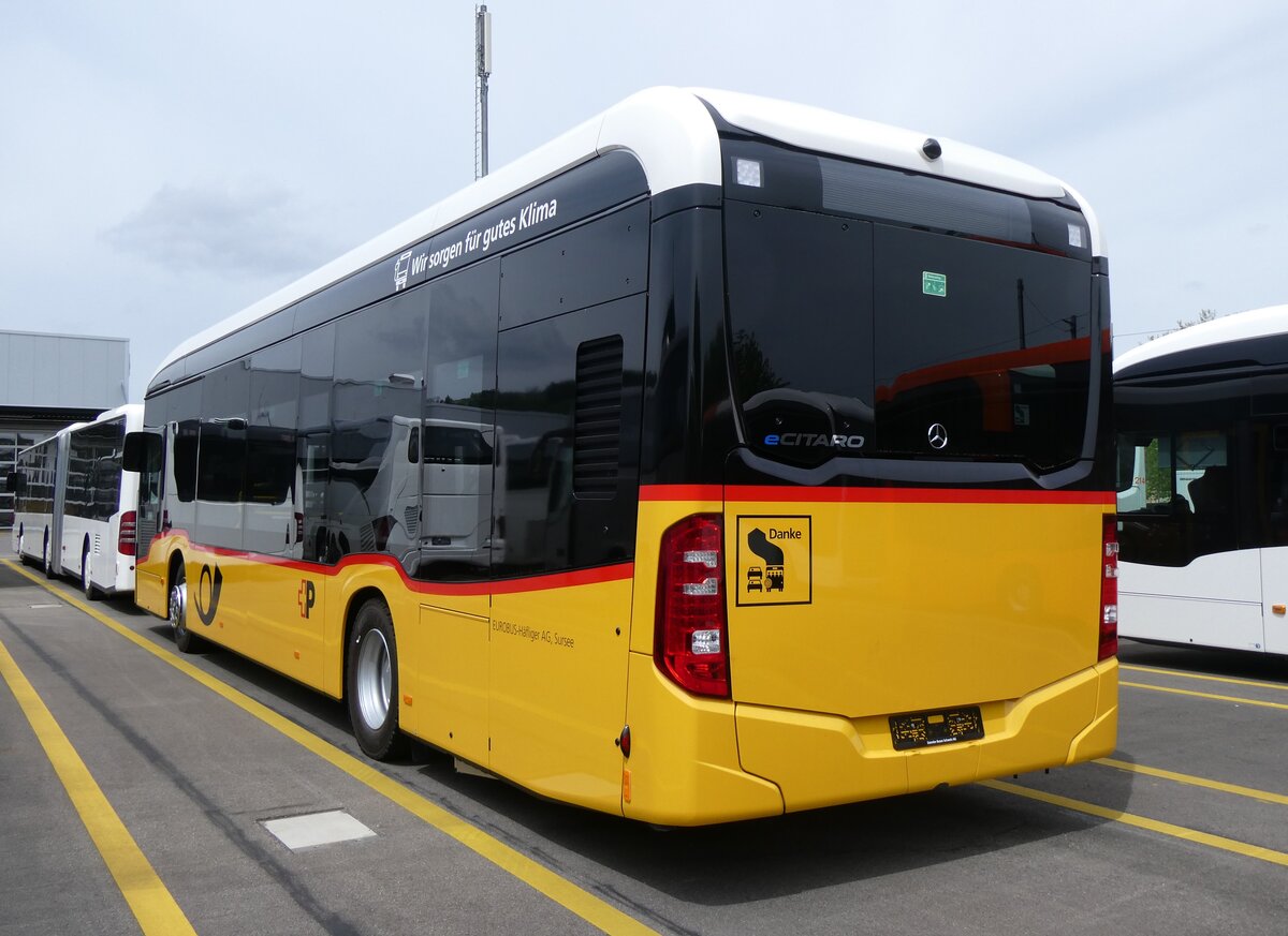 (262'125) - H�fliger, Sursee - PID 12'020 - eMercedes am 4. Mai 2024 in Winterthur, Daimler Buses