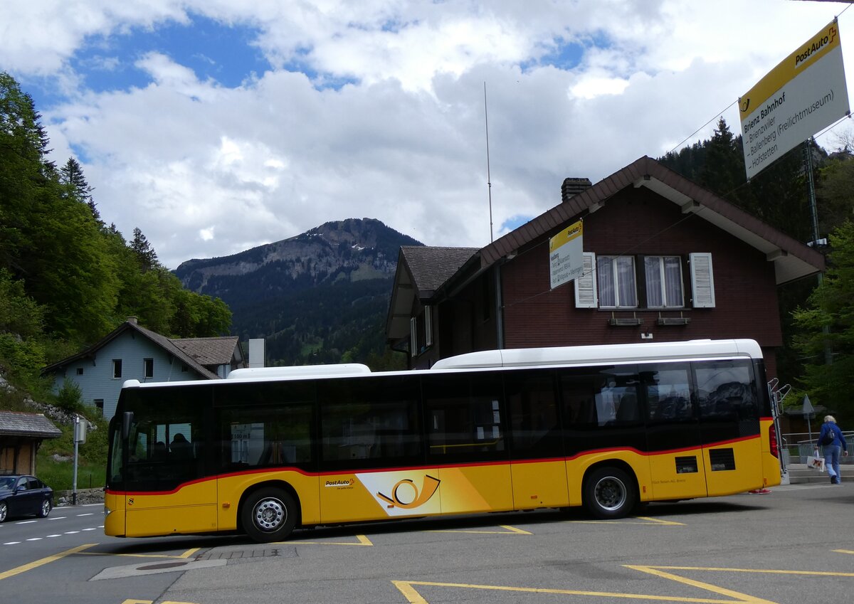 (262'730) - Fl�ck, Brienz - Nr. 5/BE 113'349/PID 10'859 - Mercedes am 18. Mai 2024 auf dem Br�nigpass