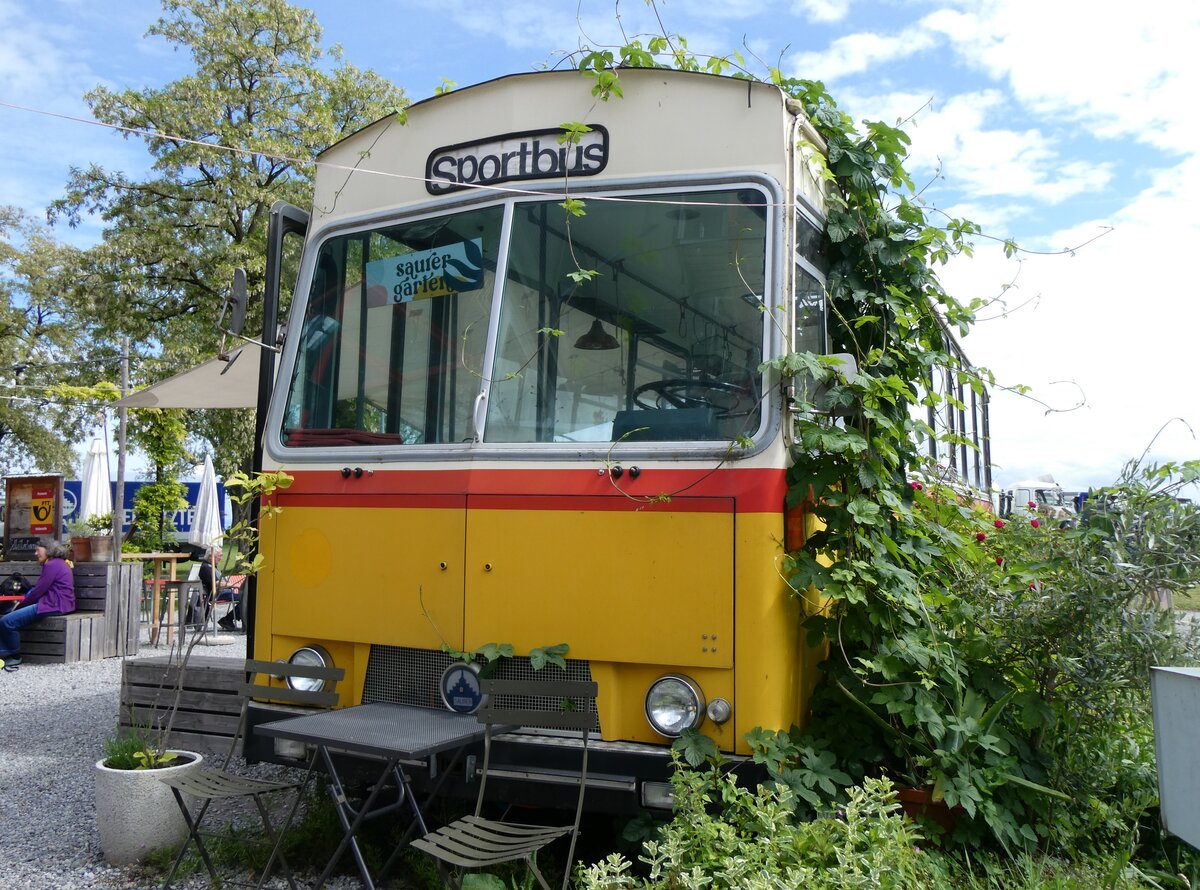 (262'957) - Ildtimer Club Saurer, Arbon - Saurer/T�scher-R&J (ex Heim, Flums; ex P 25'208; ex P 24'662) am 25. Mai 2024 in Arbon, Saurermuseum