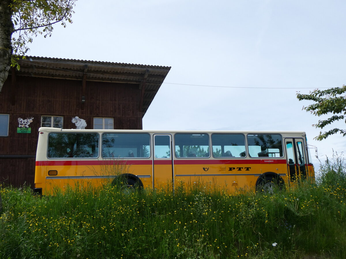 (263'181) - Kolb, Grasswil - Nr. 3/BE 93'915 - Saurer/R&J (ex Schmocker, Stechelberg Nr. 3/PID 2409; ex Schmocker, Stechelberg Nr. 1; ex Gertsch, Stechelberg Nr. 1) am 26. Mai 2024 in D�rrenroth, Horn