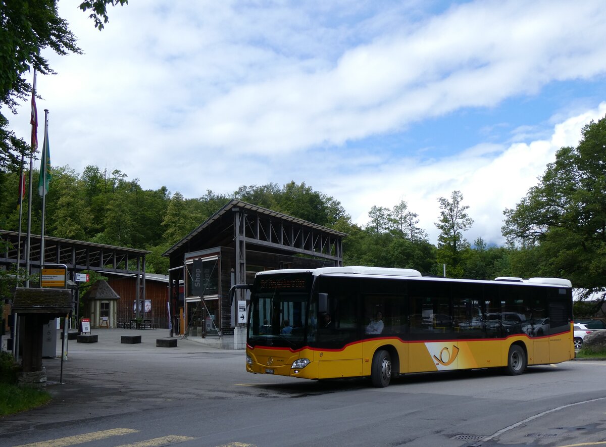 (263'226) - Fl�ck, Brienz - Nr. 6/BE 26'631/PID 11'683 - Mercedes (ex PostAuto Bern) am 28. Mai 2024 in Hofstetten, Ballenberg West