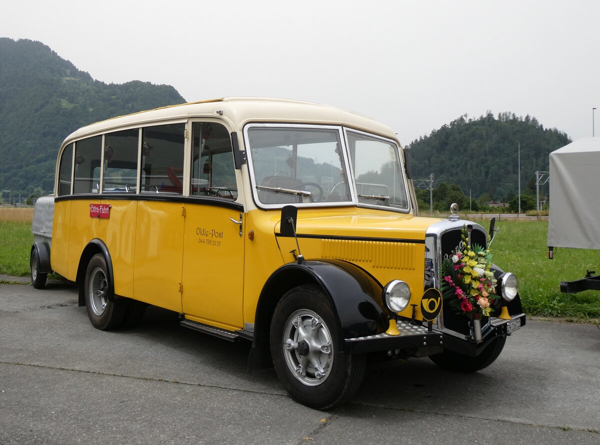 (264'139) - Moser, Sch�nenberg - ZH 216'722 - Berna/Hess (ex Barenco, Faido) am 29. Juni 2024 in Interlaken, Flugplatz