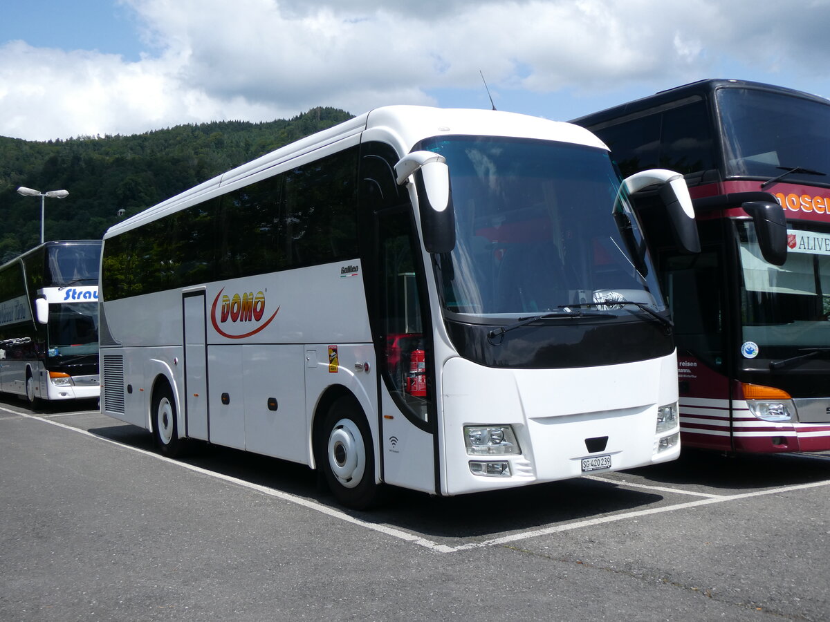 (264'979) - Domo, Glattbrugg - SG 420'239 - MAN am 24. Juli 2024 in Thun, Seestrasse